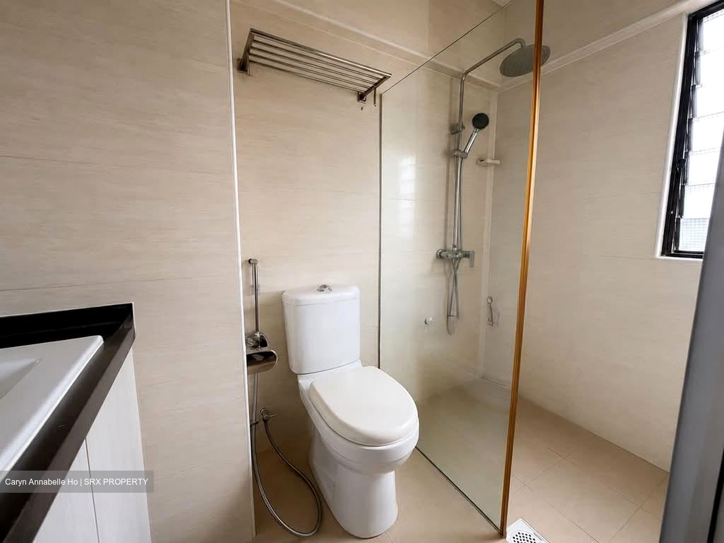Galaxy Towers (D15), Apartment #570574481
